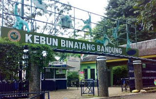 Ridwan Kamil Tegaskan Kebun Binatang Bandung Bukan Milik Pemkot