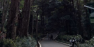 Taman Hutan Raya Ir. H. Djuanda