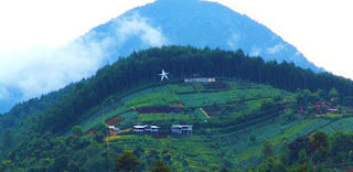 Puncak Bintang